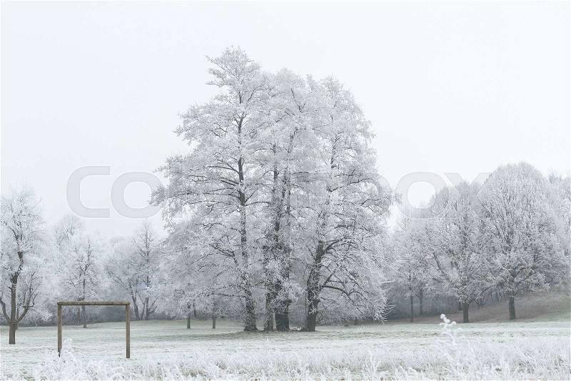 Tranquil landscape of forest nature covered with snow, stock photo