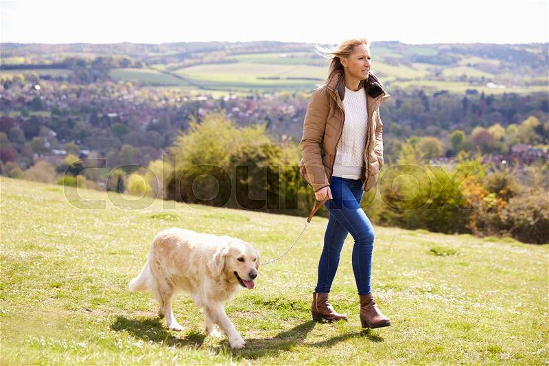 Mature Woman Taking Golden Retriever For Walk In Countryside, stock photo