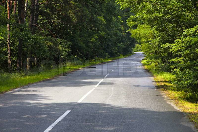 Curve road through the forest, stock photo