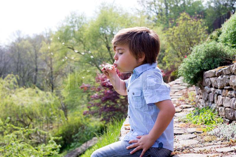 Little boy is sitting on a stone wall in the countryside . He is holding a dandelion and is blowing the seeds away, stock photo