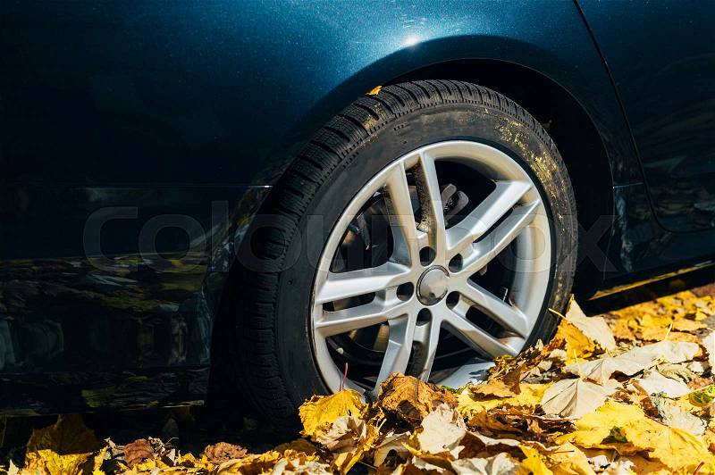 Car tire parked in autumn fall red yellow foliage, stock photo