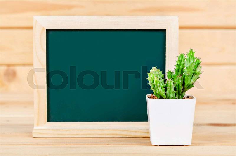 Blank green chalkboard with cactus plant on wooden background, readry for your text, stock photo