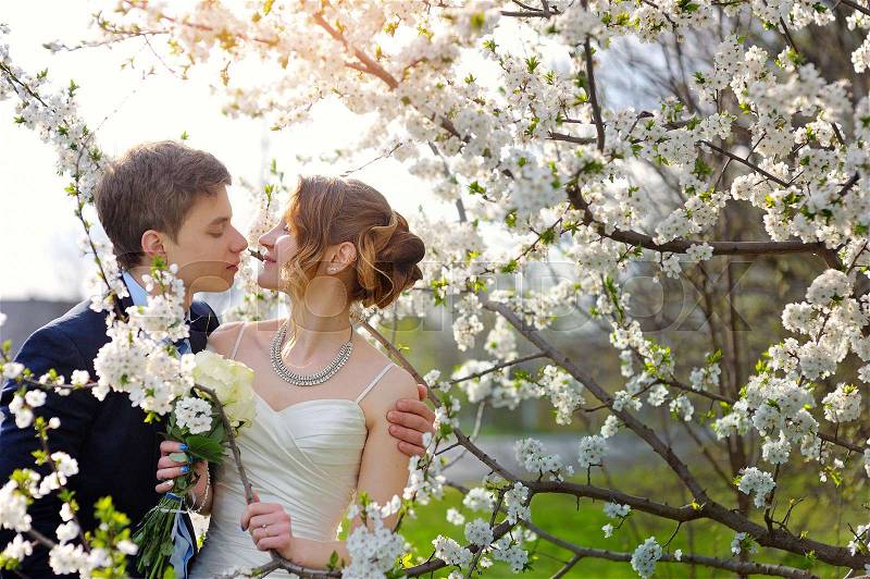Bride and groom at the wedding kiss in spring walk Park, stock photo