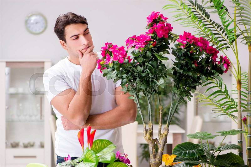 Man taking care of plants at home, stock photo