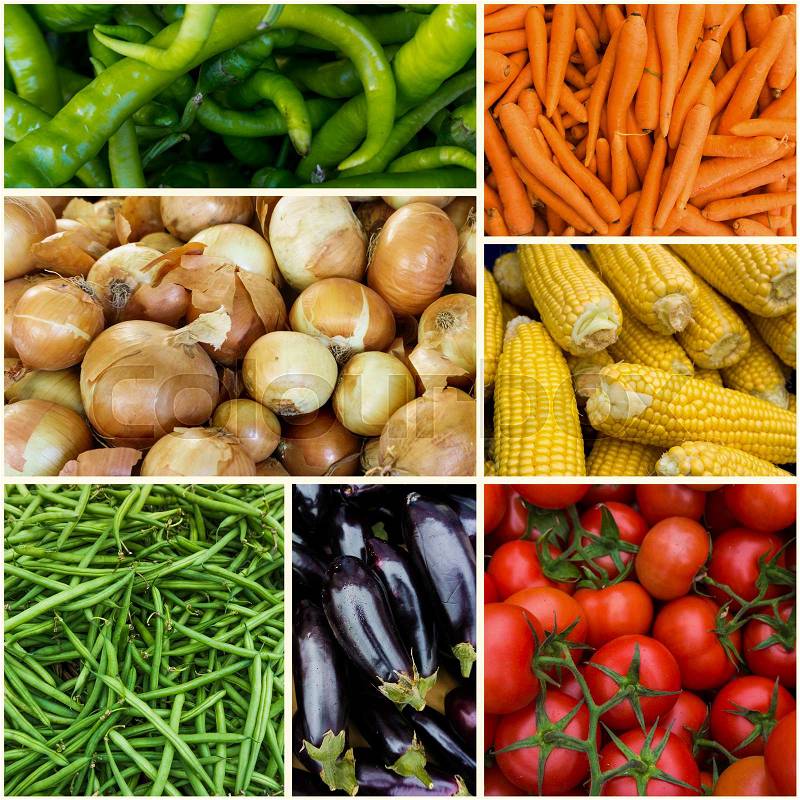 Fresh farm vegetables. ripe vegetables background, stock photo