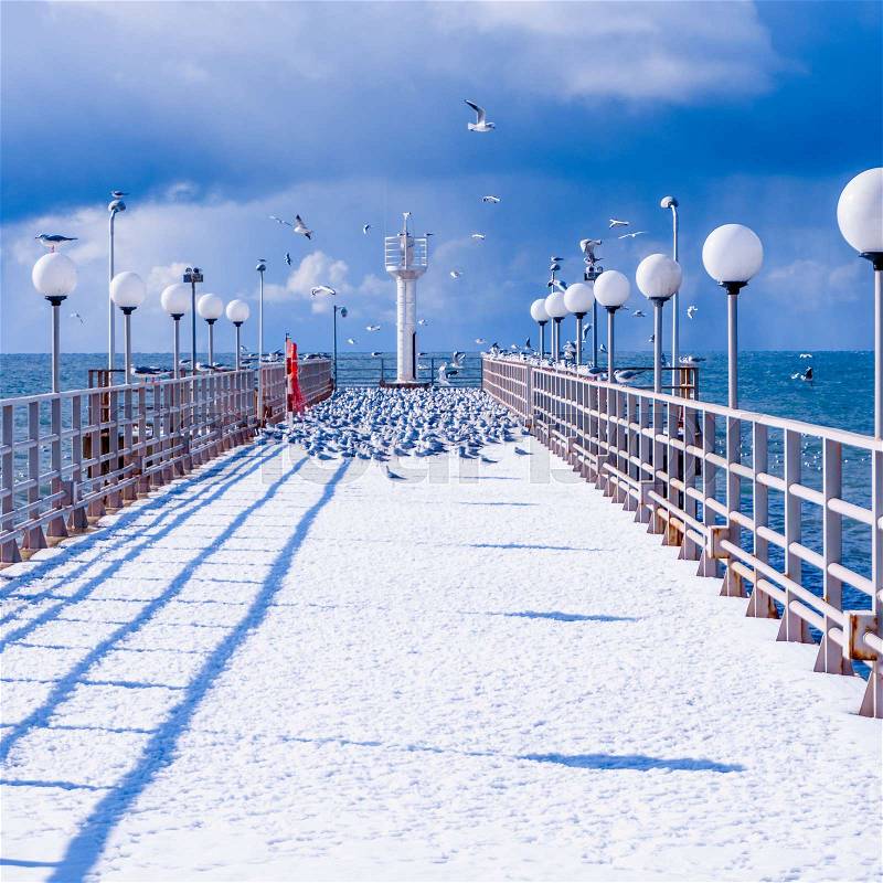 Sea and blue sky. Sea birds sitting on pier. winter beach. Winter scene, stock photo