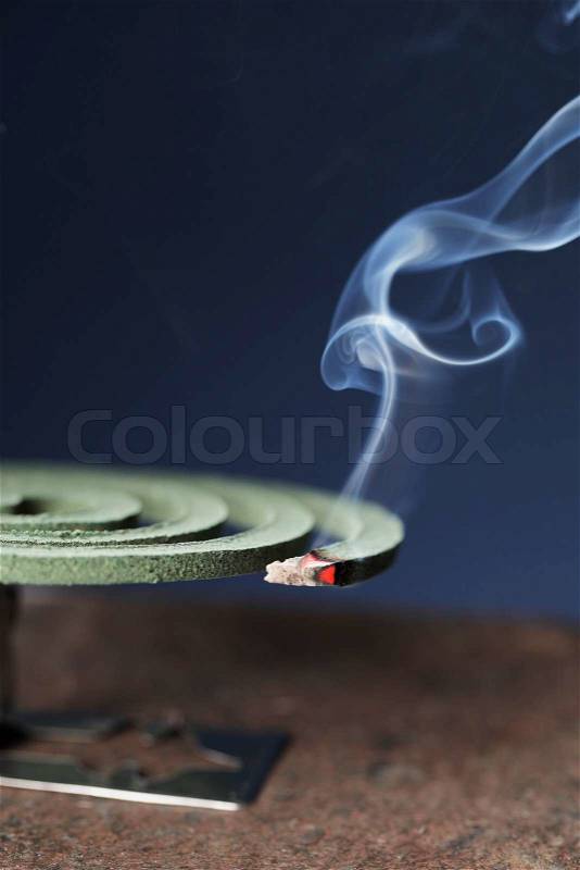 Mosquito Coil Made From Lanzones Essay