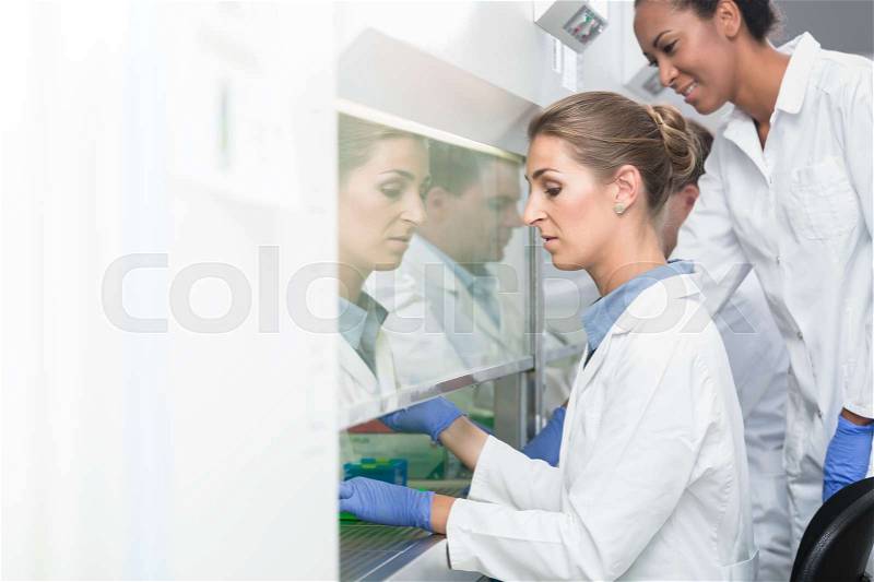 Researcher and lab assistant working together on scientific samples, stock photo
