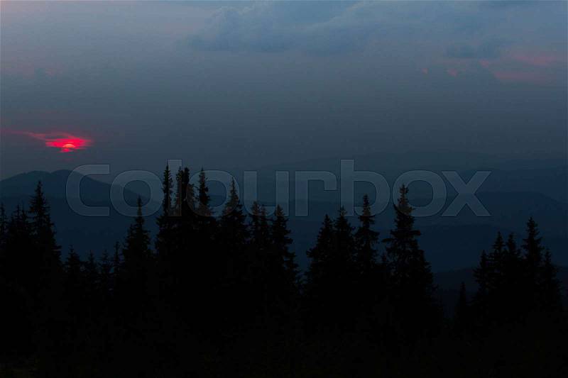 Sunrise in the mountains. Outlines of spruce tops and the sun\'s rays make their way through the clouds and mountains peaks. Spruce background. Coniferous forest, stock photo