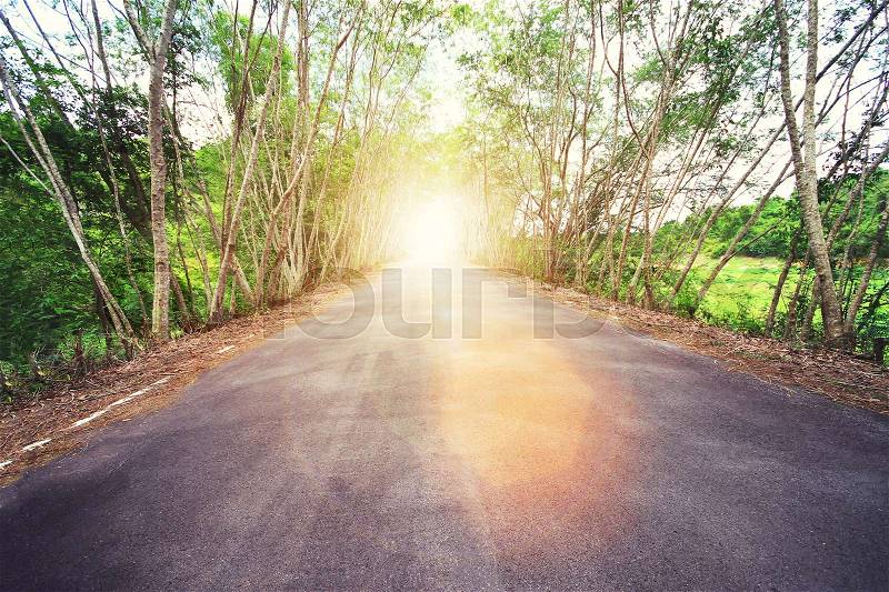 Country asphalt road with tree and sunset flare. Vintage filtered, stock photo