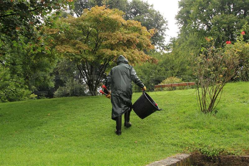 The gardener in green raincoat is walking with a loppers and a black bucket in his hand over the lawn in the park in the city in the wet and rainy summer, stock photo