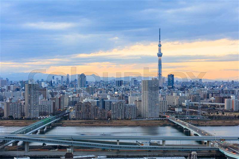 Tokyo city view and Tokyo landmark Tokyo Tower in evening , Tokyo city is one of the 47 prefectures of Japan, stock photo