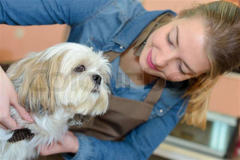 Female animal groomer with dog, stock photo