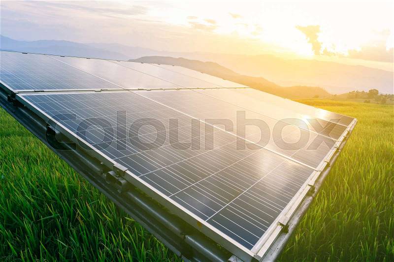 Solar panel with rice field in countryside, stock photo