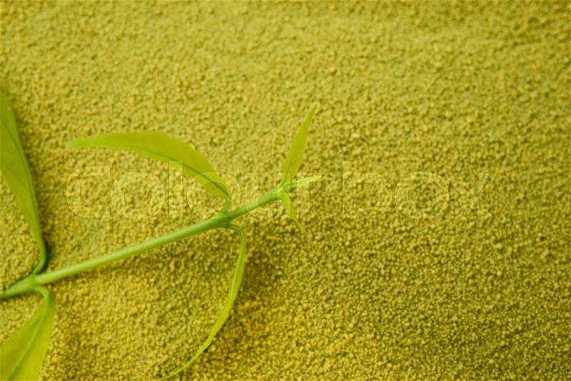 Green tea powder with tea leaf, stock photo