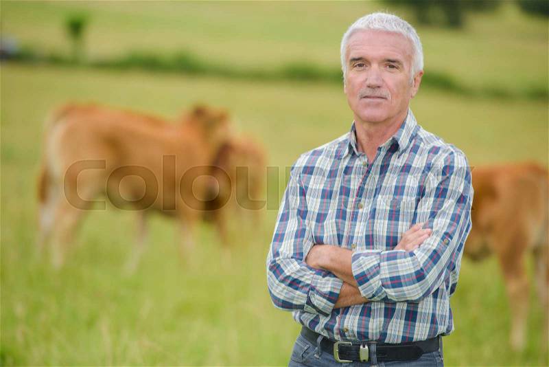 Cattle farmer, stock photo