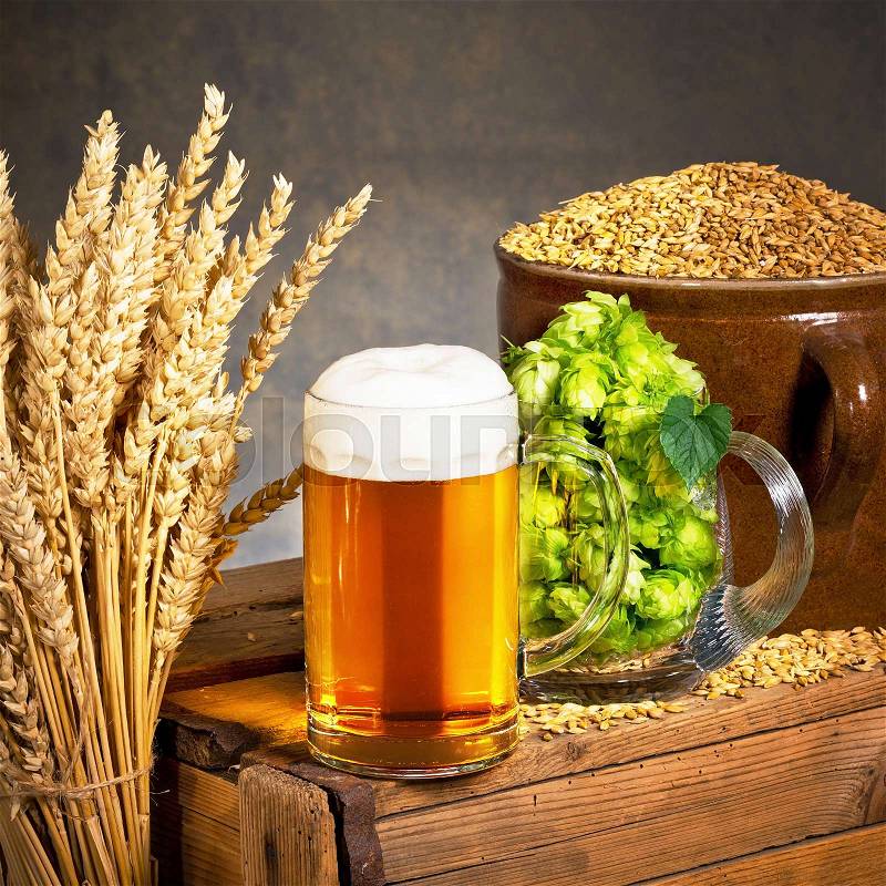 Glass of beer with raw material for beer production, stock photo