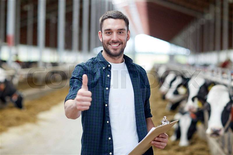 Agriculture industry, farming, people and animal husbandry concept - happy smiling young man or farmer with clipboard and cows in cowshed on dairy farm showing thumbs up hand sign, stock photo