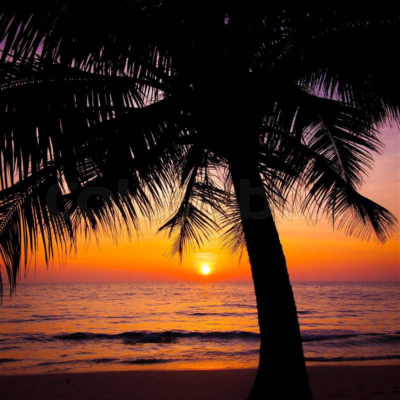 Sunset landscape. beach sunset. sunset on the beach, stock photo