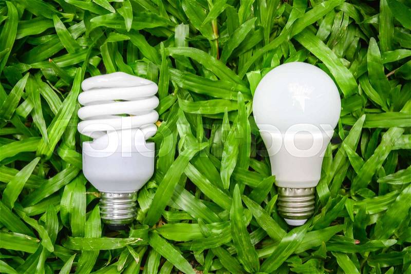 LED and Fluorescent bulb comparing on the green grass for alternative technology, stock photo