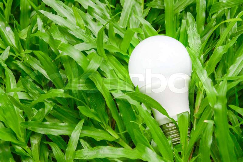 LED bulb with lighting on the green grass, stock photo