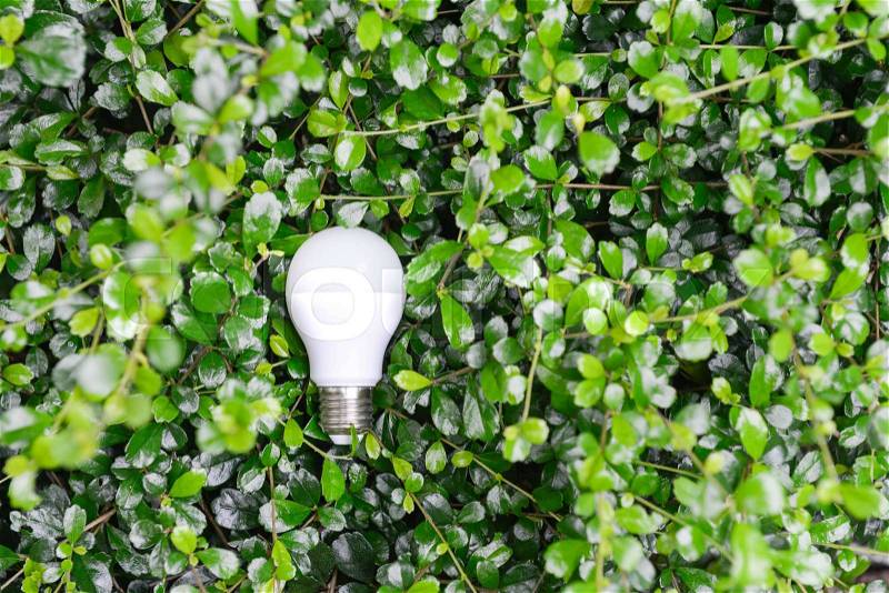 LED Bulb with lighting in the green nature - Eco friendly concept, stock photo