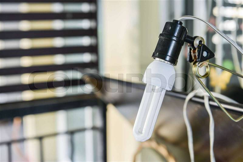 Clamp Lamps with fluorescent bulbs, stock photo