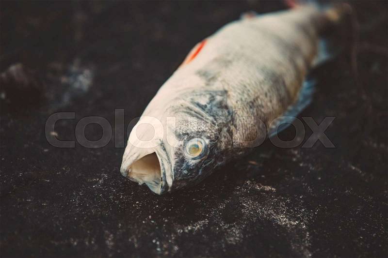 Bloated dead poisoned fish lies on the bank of the river. Environmental pollution. The impact of toxic emissions in the aquatic environment, stock photo