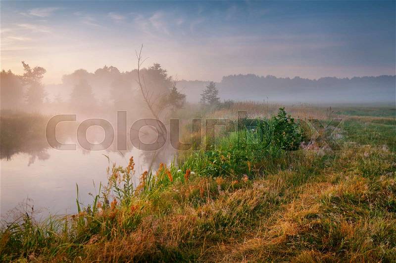 Summer misty sunrise on the river. Foggy river in the morning. Summer misty dawn. Foggy morning, stock photo