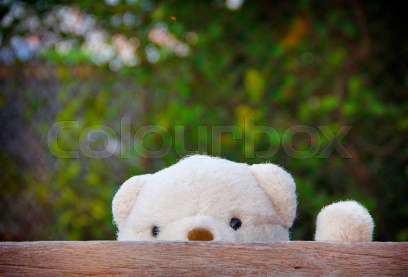 Cute Teddy Bear Hiding by Wooden Board, stock photo