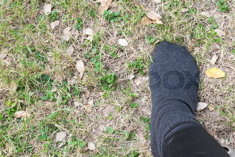 Feet concept with black sock in the garden with space for text or symbol, stock photo