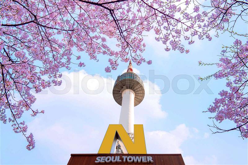 SEOUL - APRIL 9 : N Seoul Tower and Cherry blossom in Spring.Photo taken on April 9,2015 in seoul,South Korea, stock photo