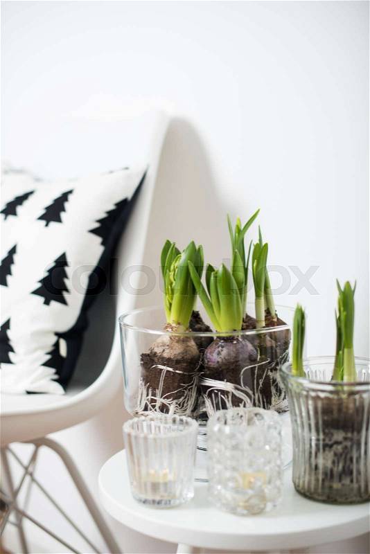 White scandinavian spring interior closeup, minimalist furniture and hyacinths in a jar, stock photo