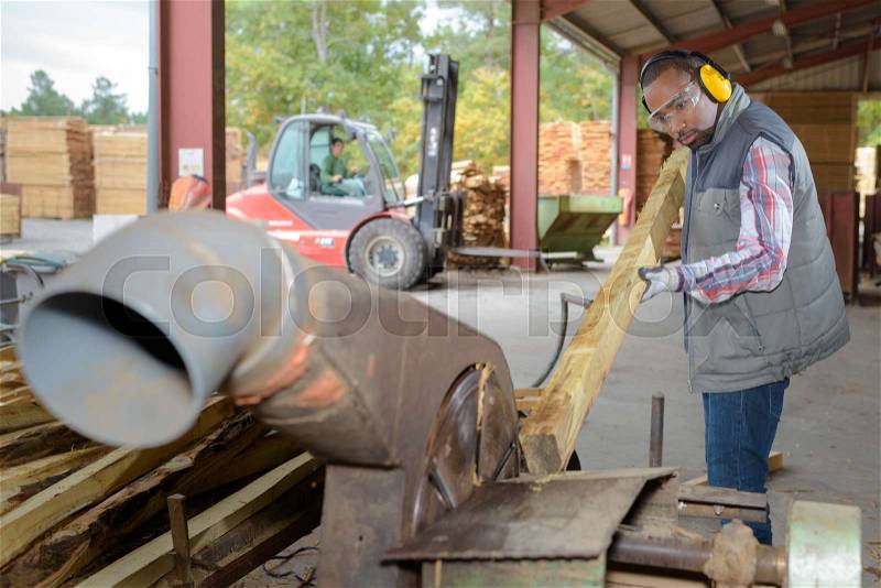 Inserting wood into a machine, stock photo