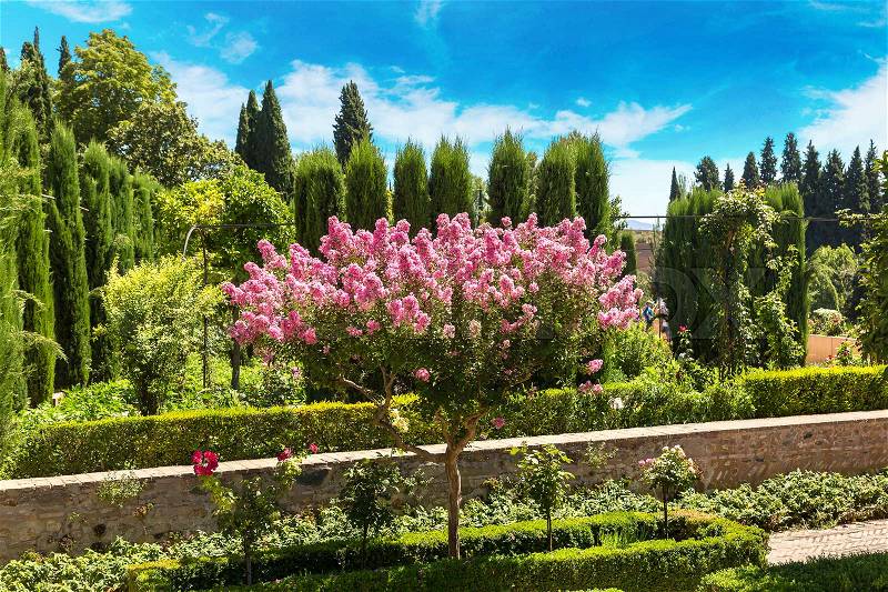 Gardens in Alhambra palace in Granada in a beautiful summer day, Spain, stock photo
