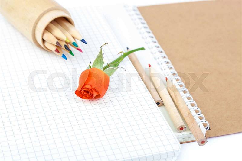 Colored pencils, notebooks and rose flowers isolated on white background, stock photo