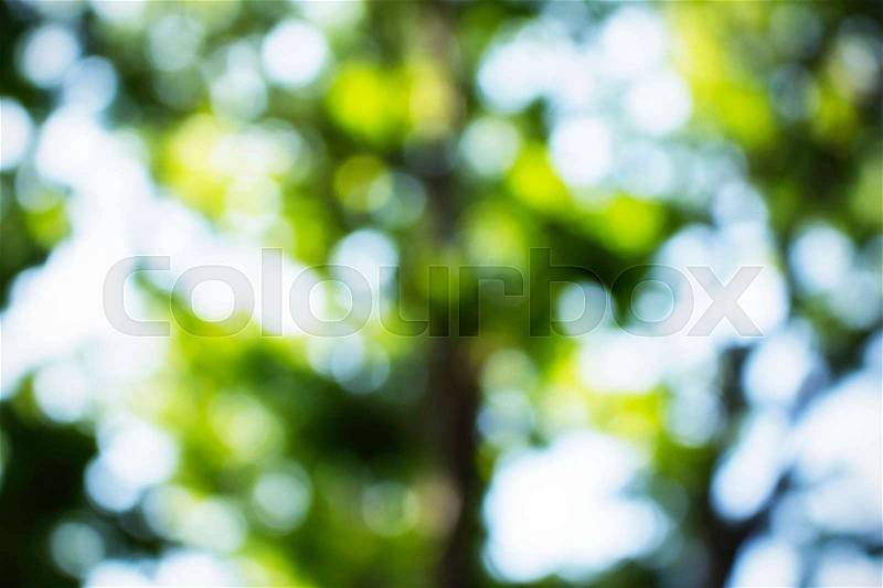 Blur circles of light on a leaves, stock photo