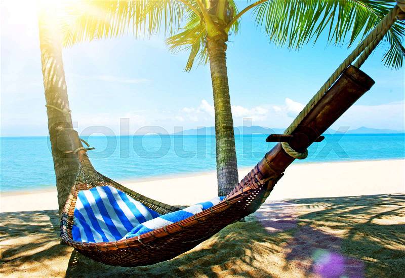 Romantic cozy hammock in the shadow of the palm on the tropical beach by the sea, stock photo