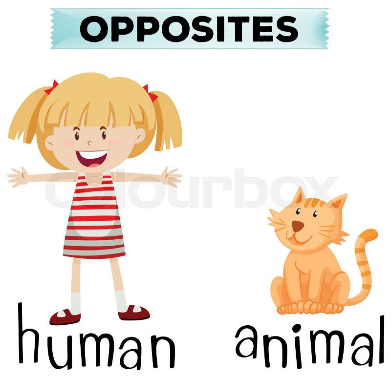 Opposite wordcard for human and animal illustration, vector