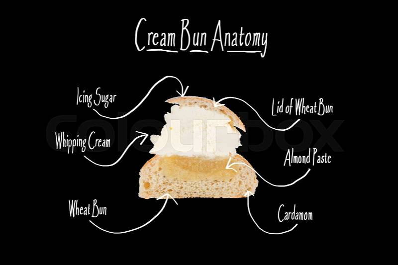 Anatomy of a Swedish Cream bun (also called Semla) shown in cross section with arrows and names of the various components and ingredients. Text in English on black background, stock photo