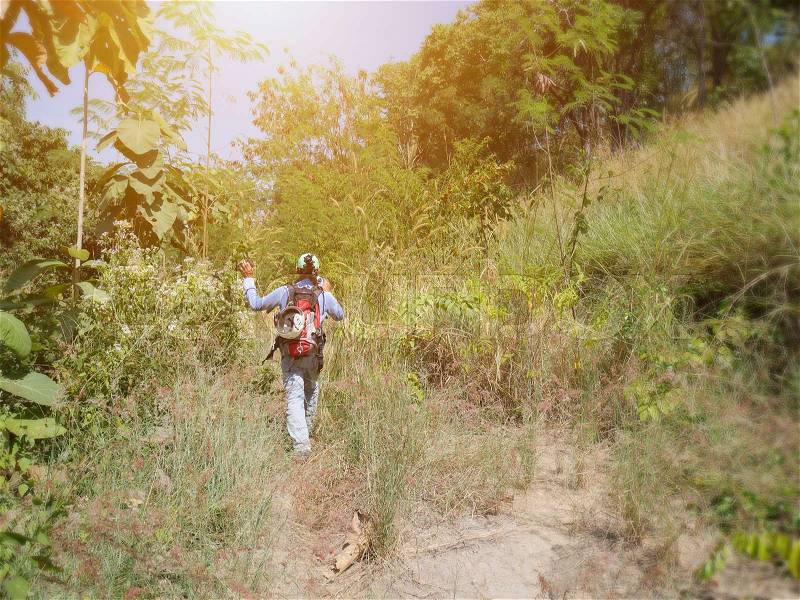 Rear view of a man traveler walking alone in forest mountain , Outdoor activity in Summer season at tropical forest of Thailand, stock photo