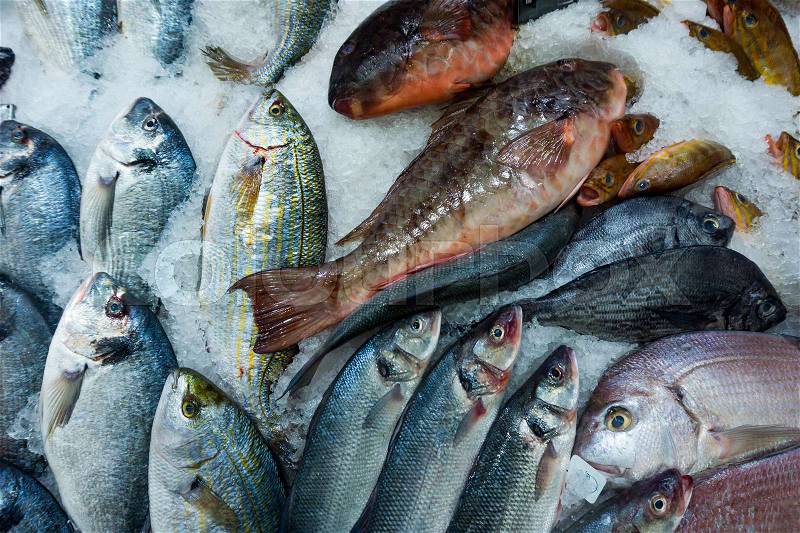 Fresh seafood. Fresh fish in the market, stock photo
