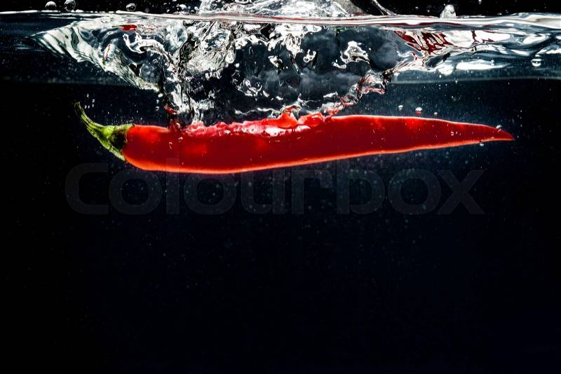 Red hot chili pepper splashing into water isolated on the black background, stock photo