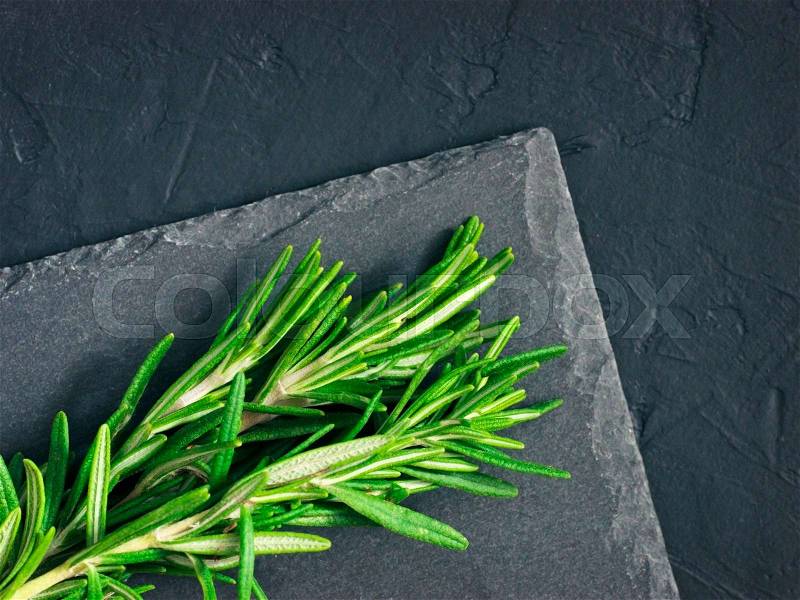 Fresh rosemary herbs on black background with copy space. Culinary healthy aromatic spicy herbs, stock photo