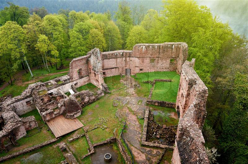 Aerial photograph from a drone of the ruins of the Chateau of Wangenbourg in the middle of the forest in Alsace, commune of Wangenbourg-Engenthal in the Bas-Rhin departement of France, stock photo
