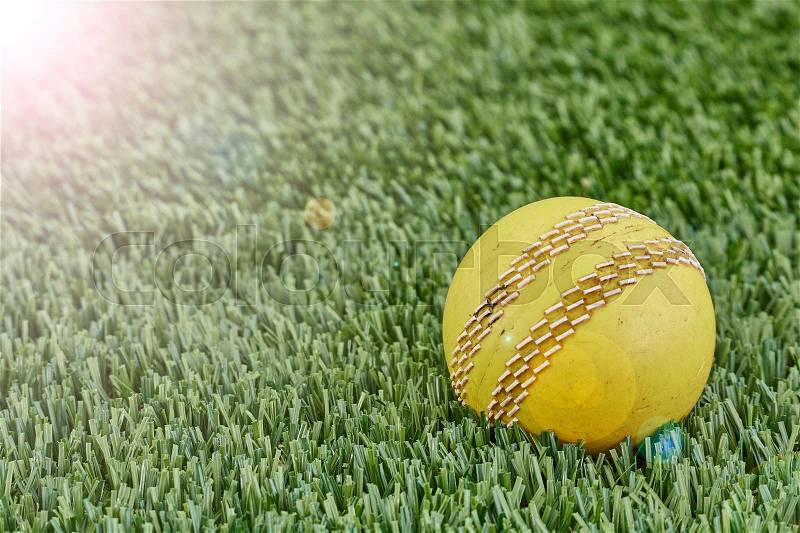 A studio photo of cricket gear on grass, stock photo