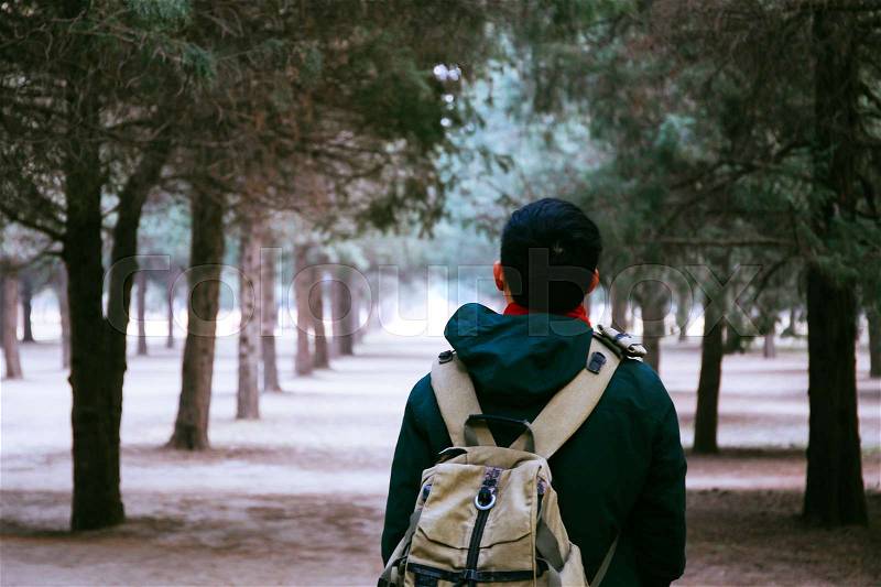 Young traveler trekking into the woods with backpack along the path, stock photo