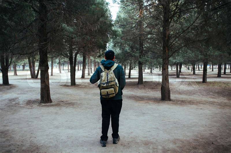 Young traveler trekking into the woods with backpack along the path, stock photo