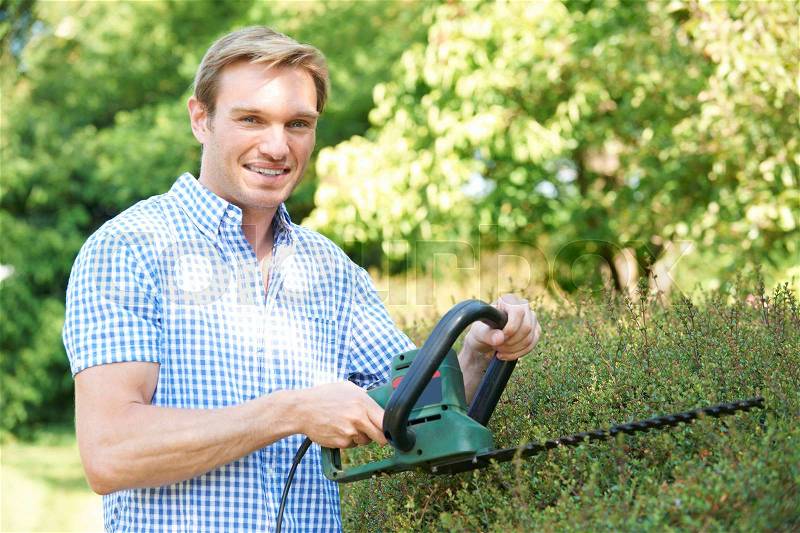 Man Cutting Garden Hedge With Electric Trimmer, stock photo