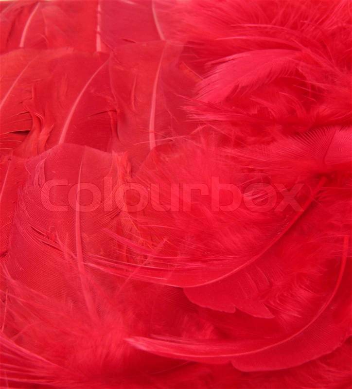 Red feather scarf texture, stock photo